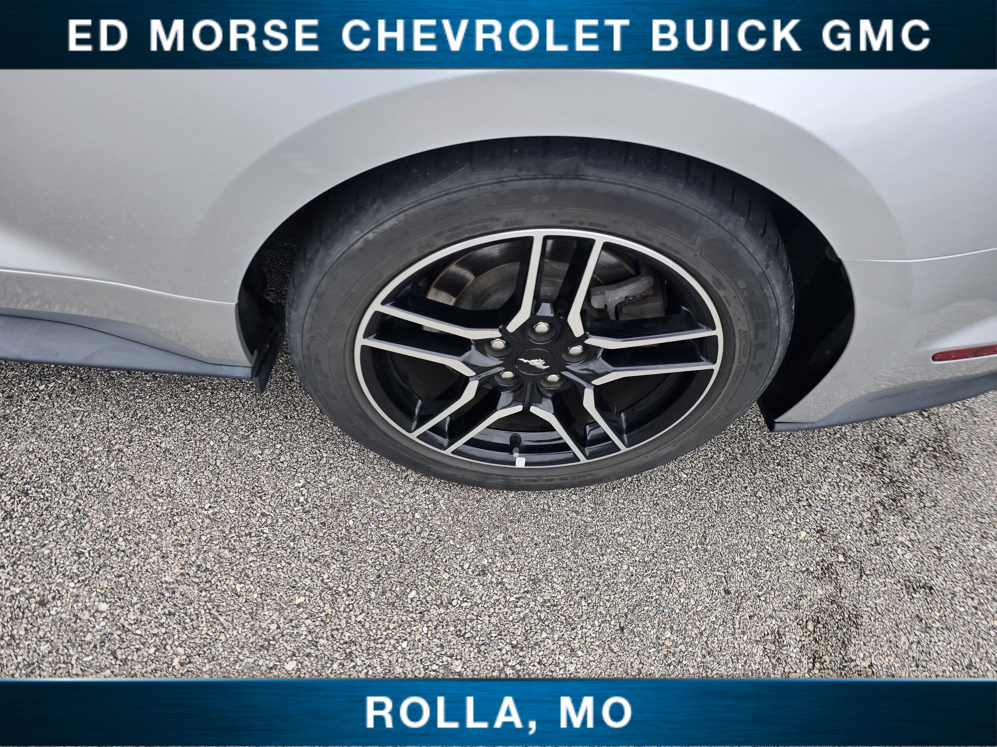 2019 Ford Mustang GT Premium