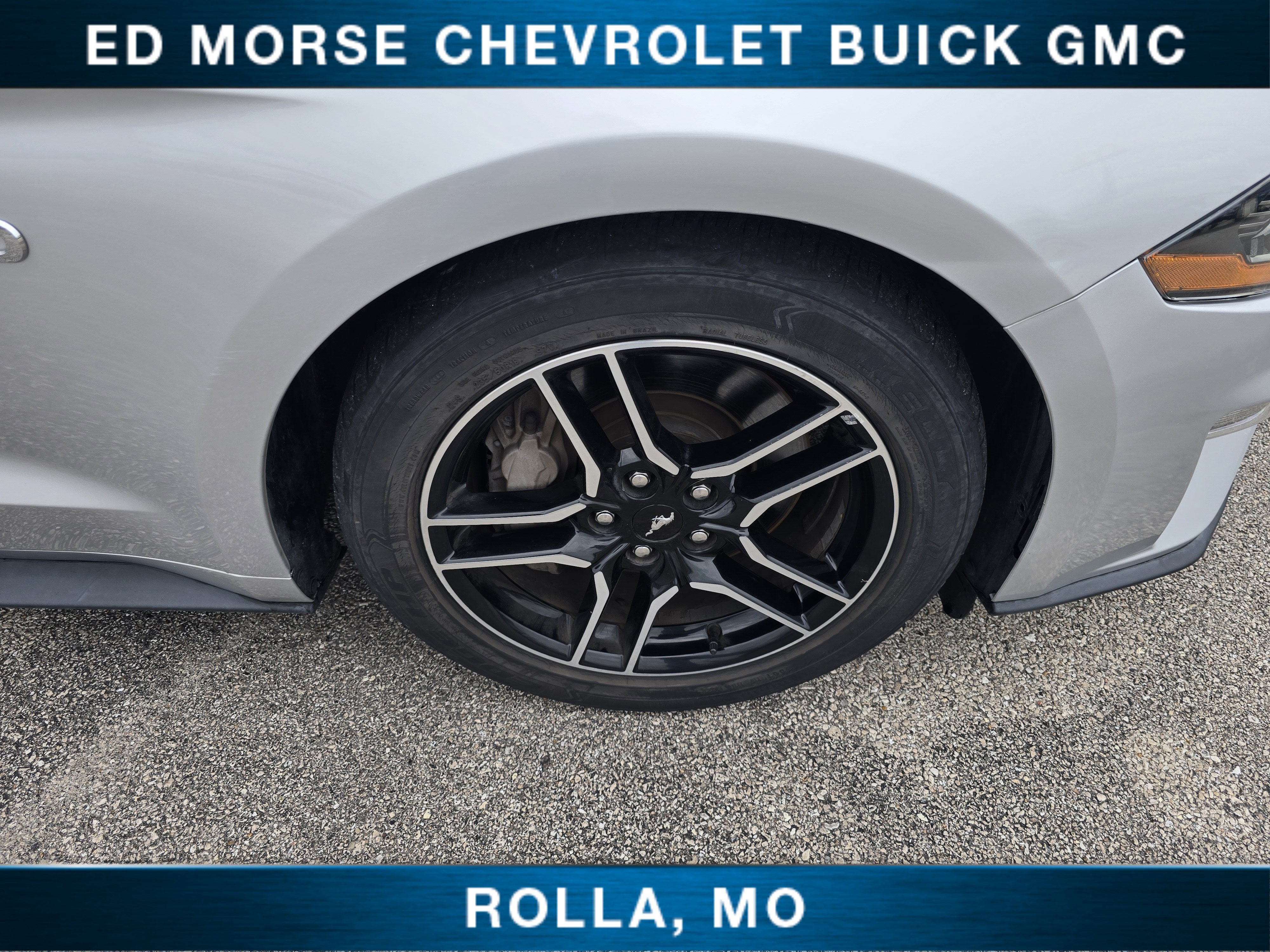 2019 Ford Mustang GT Premium