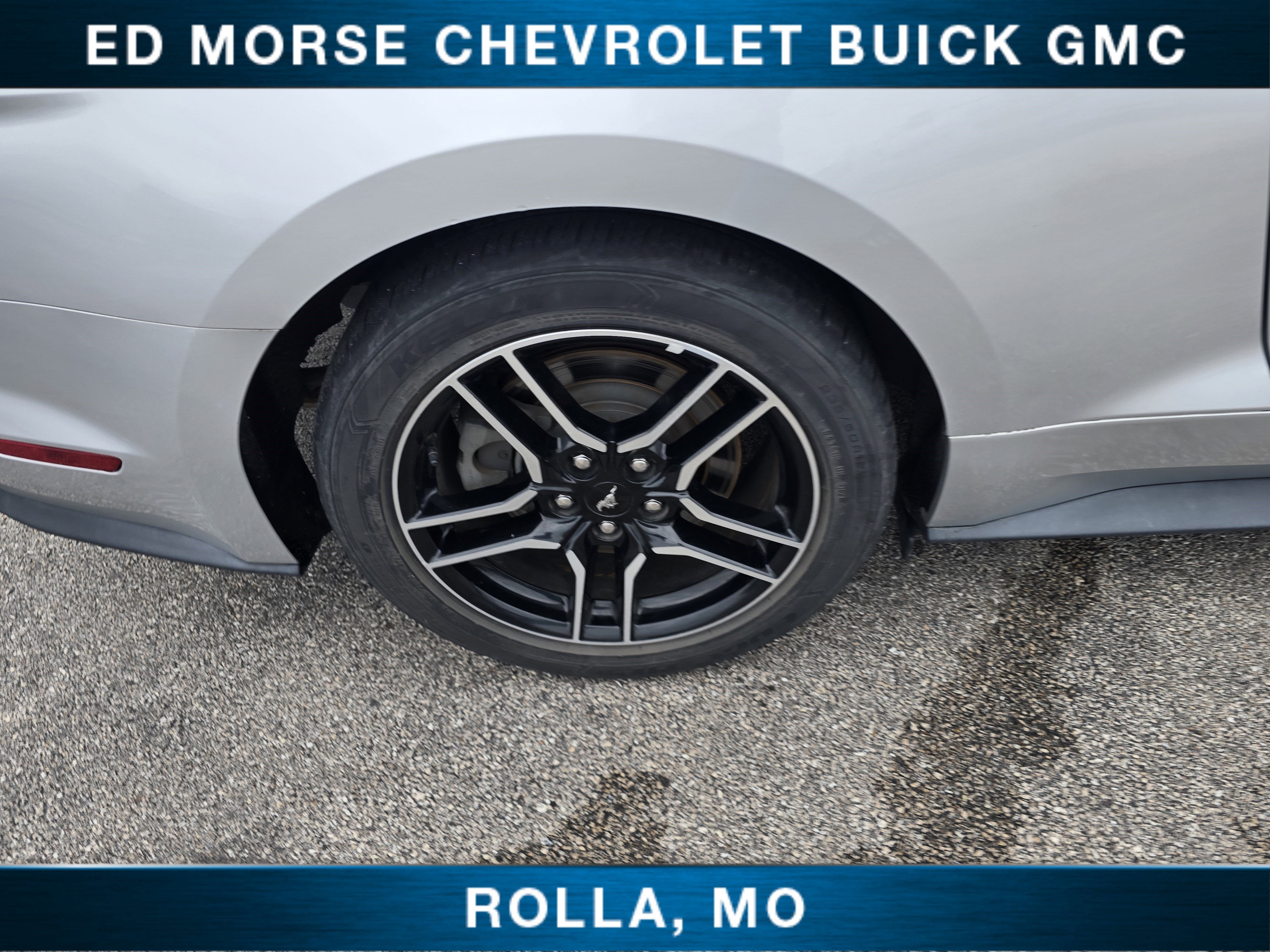 2019 Ford Mustang GT Premium