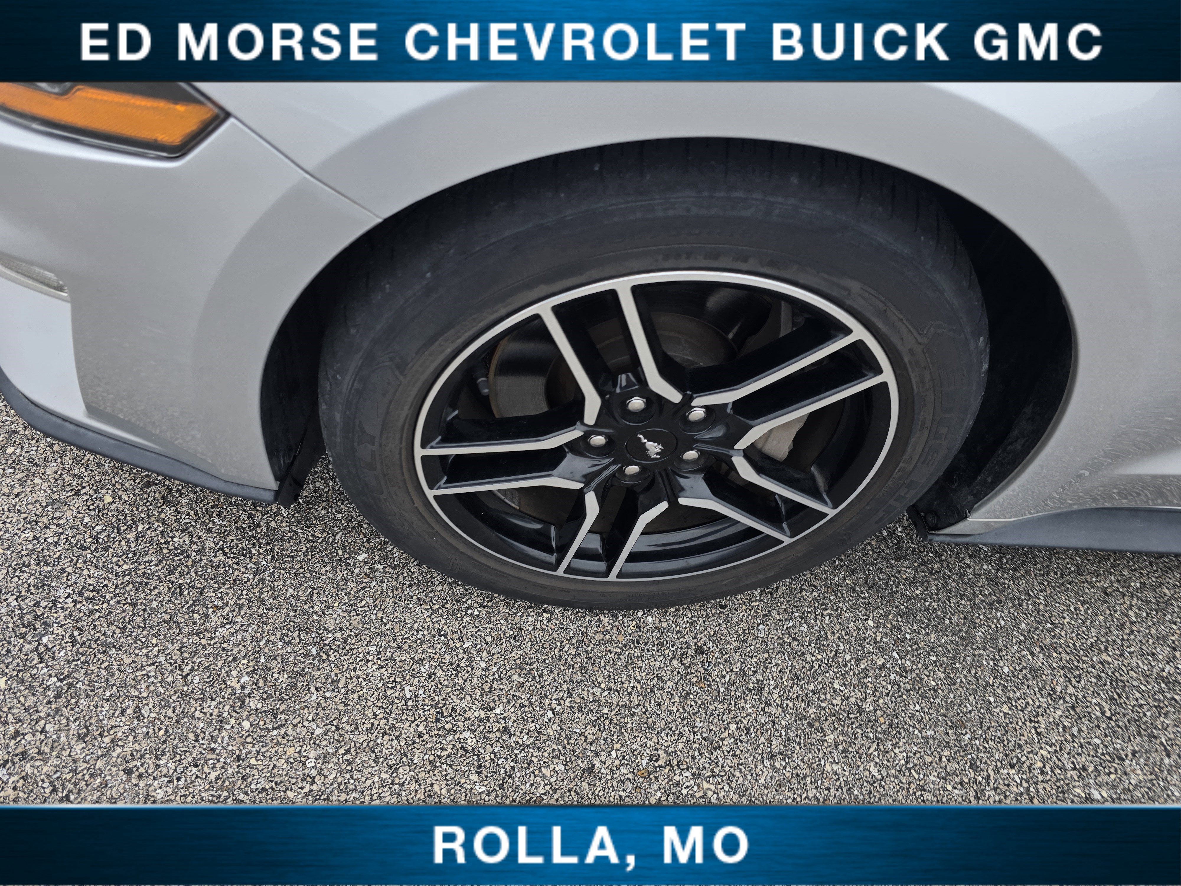 2019 Ford Mustang GT Premium